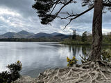 A Tranquil Friar's Crag