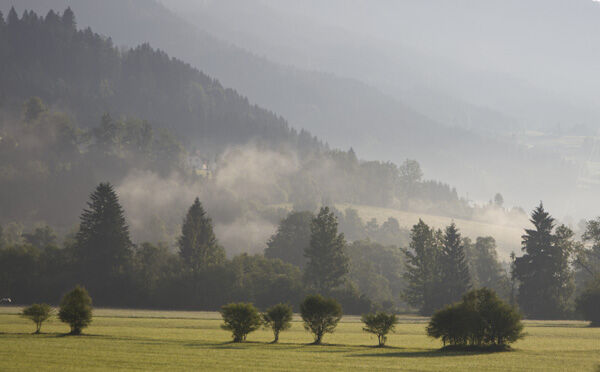 A new day emerging from the mist
