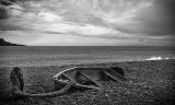 Abandoned on the Dorset Coast