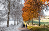 Autumn-Winter