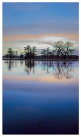 Blue Hour at Ibsley