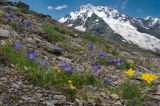 Caucasian Mountainside