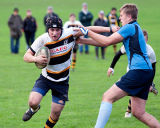 Colts Rugby