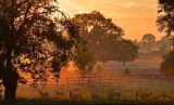 Dawn view