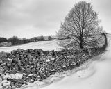 Dry Stone Wall
