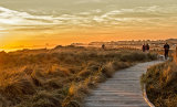 Evening on Hengistbury Head