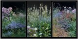 Floral Triptych