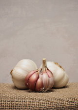 Garlic