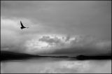 Handa Island