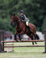 Horse In Flight