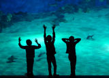 I'd Like to be, under the sea