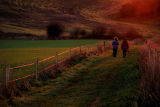Into the sunset