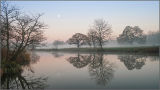 Morning Reflections