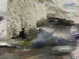 Old Harry