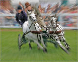Scurry Racing