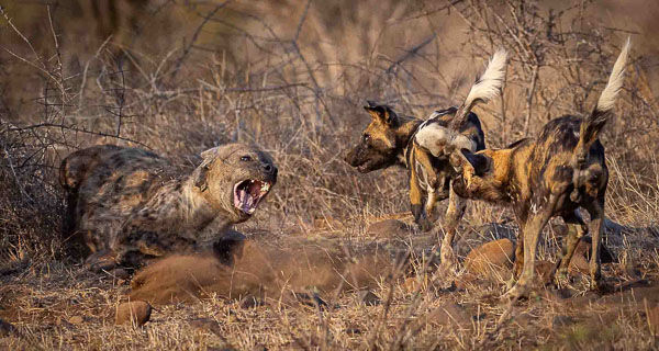 Seeing off the enemy