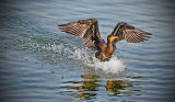 Soft Landing