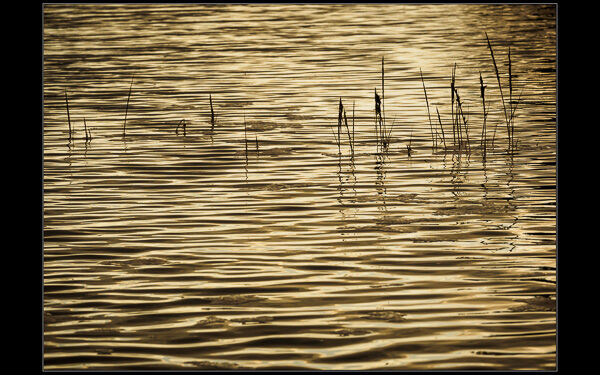 Softly Rippled