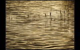 Softly Rippled