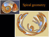 Spiral geometry
