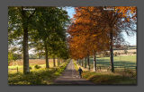 Summer - Autumn