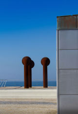 The Sentinels