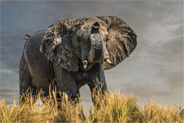 This is my river bank!