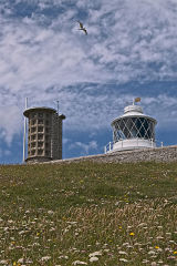 Two Towers