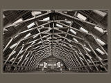 Up in the Rafters