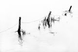 Waterworld