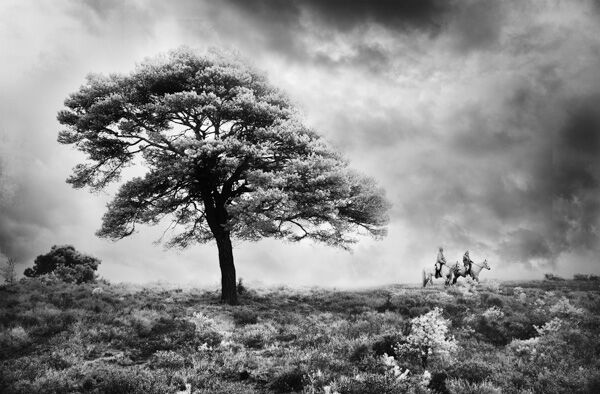 Riders on the storm 2