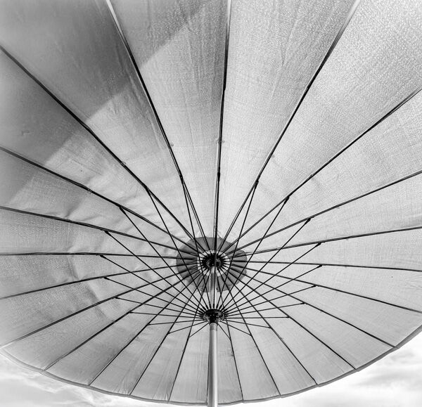 Parasol