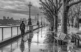 Wet Morning on the South Bank