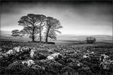 Yorkshire