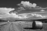 Wick Down Harvest