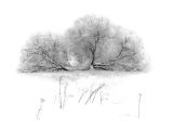 Winter's Day