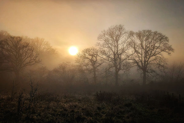Solstice mist