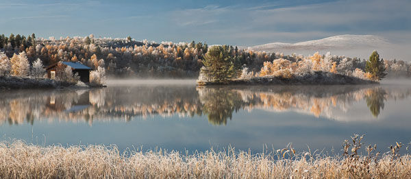 Frosty Autumn Morning. Norway