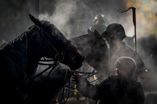 Polo Groom Under Floodlights