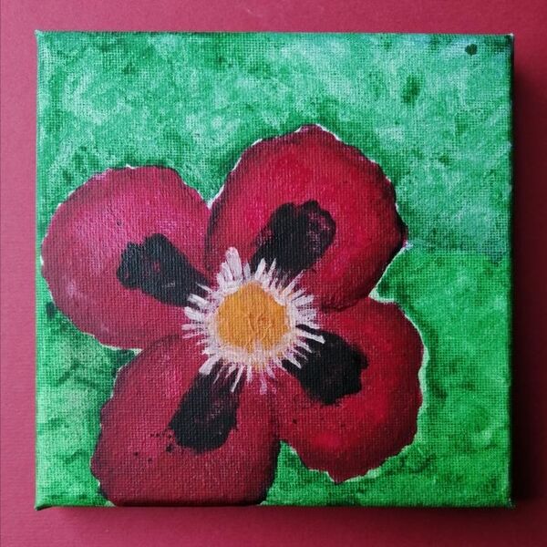 Poppy #3