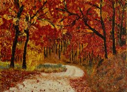 Beautiful Autumn Woods