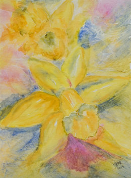 Daffodil 2 Pale