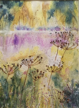 Hogweed in the breeze