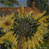 Sunflower Garden