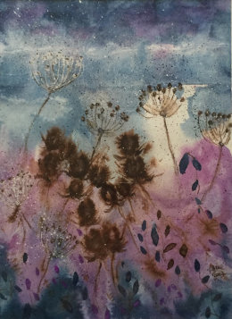 Teasel and hogweed verges