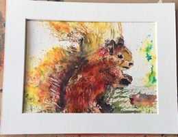 Squirrel. Port Folio