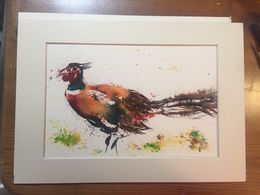 Pheasant. SOLD