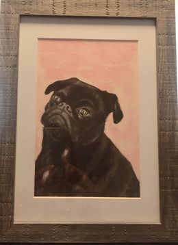 Pug. Port Folio