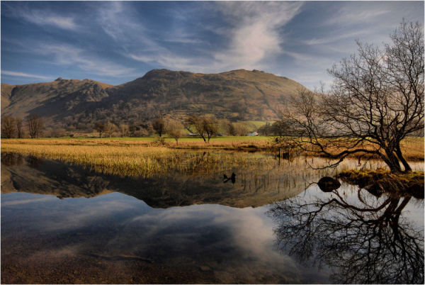 Wide Angle Reflection