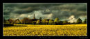 Lilleshall Hill